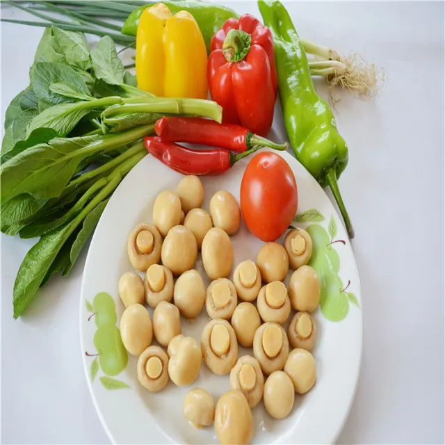 Canned food suppliers offer mushroom in brine