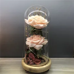 Высококачественная искусственная Шелковая Роза в стеклянном куполе со светодиодной подсветкой две головки розы цветы подарок на день Святого Валентина