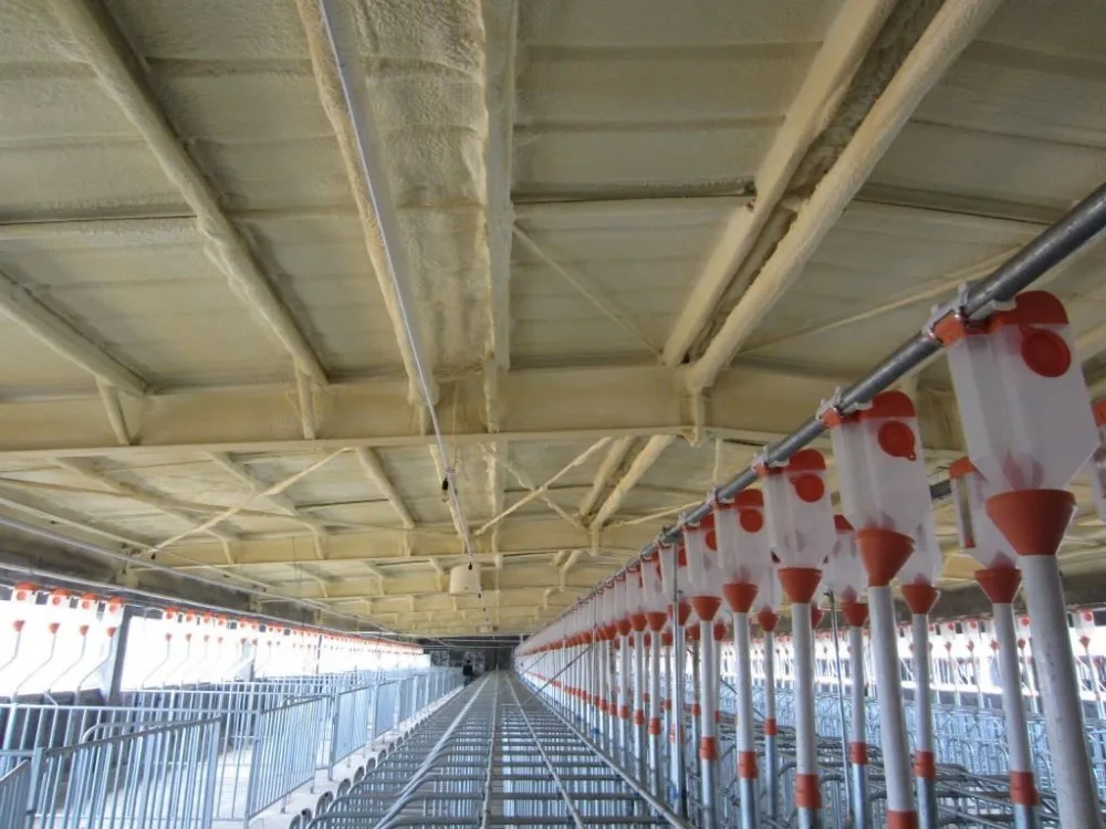 Pig Through Pig Automatic Feeder Feeding Troughs for Pigs