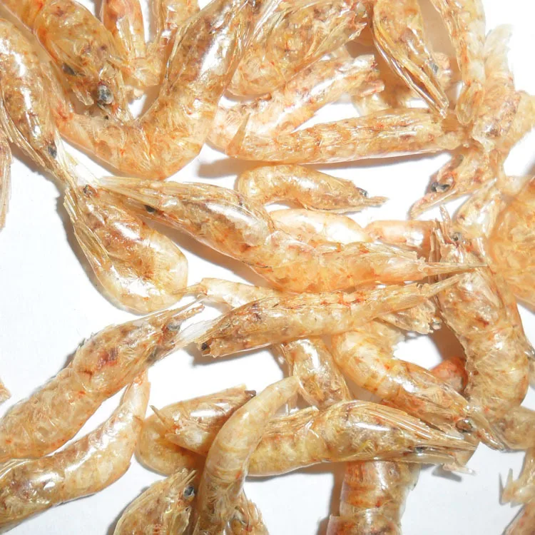 Popular Pet Food Frozen Krill Premium Shrimp Meal for Cats Feeds