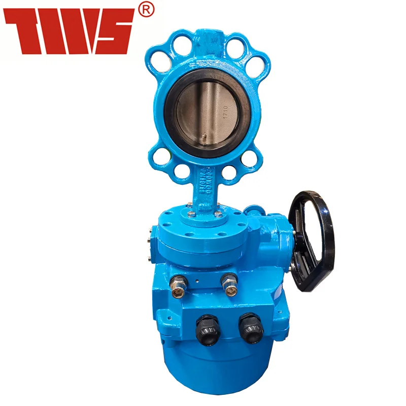 Затвор дисковый поворотный с электроприводами DN80 PN16