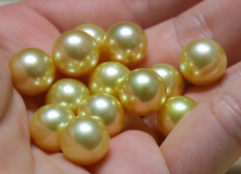 10-11mm 3A grade large big size supply wholesale gold golden color real genuine natural south sea pearls