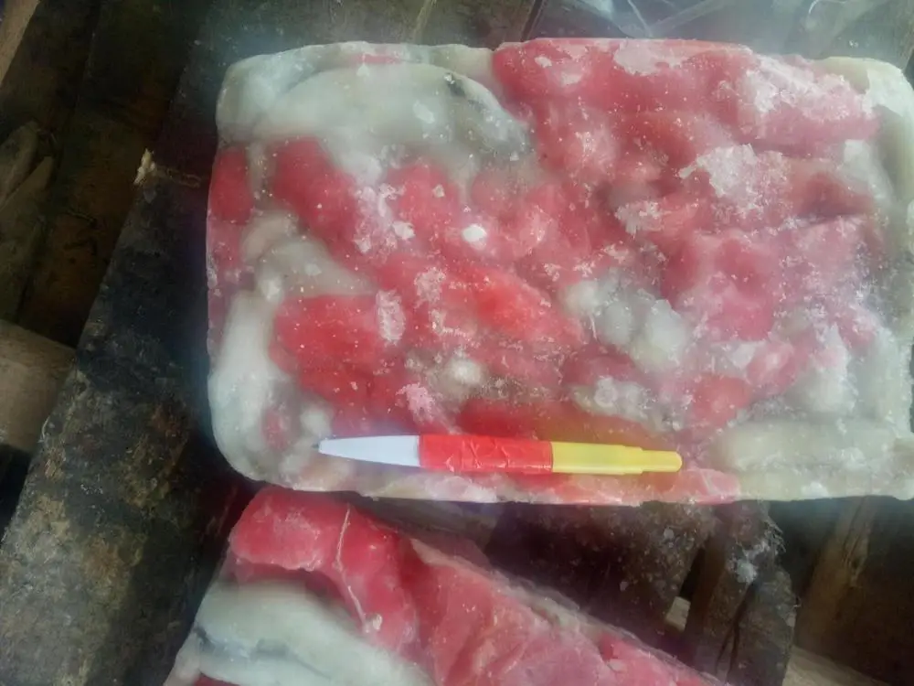 
2018 New arrived frozen indian ocean squid roe squid egg 