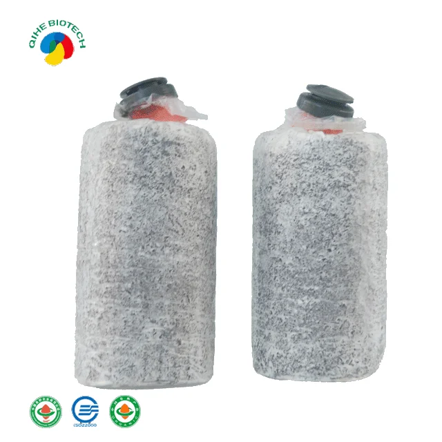 
Oyster Mushroom Spawn Fruiting Bags 