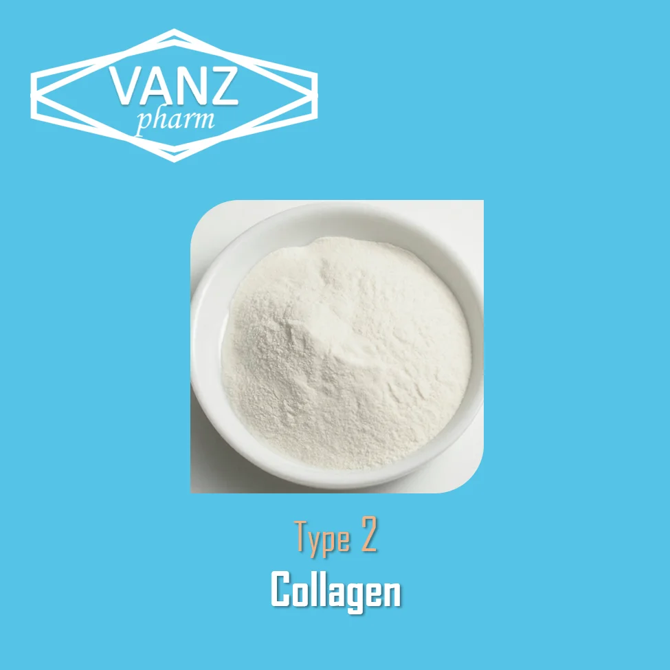 
Collagen Type II from Chicken Sternum Cartilage 