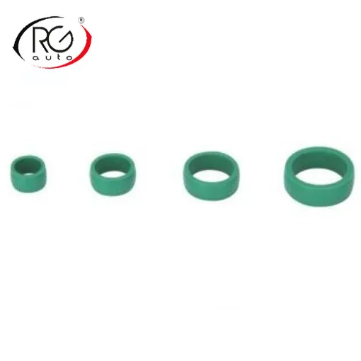 RGFROST Colored rubber  silicone rubber O ring