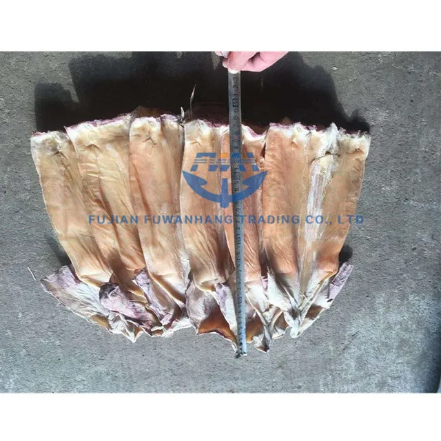 
Dried equator squid tube hot selling 