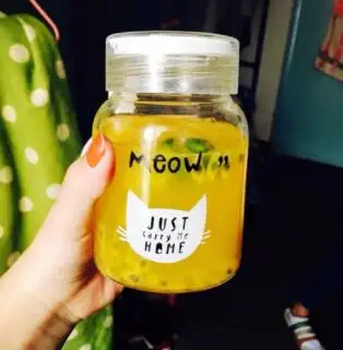 
Cartoon Cute Cat Glass Water Bottle with Cloth Protection Cover Cat Lookproof for Outdoors for Kids Glass Bottle With Handgrip 