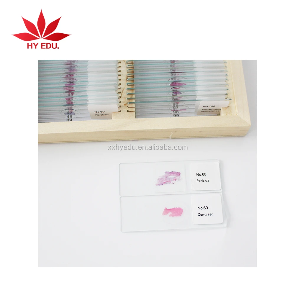 100 шт., профессиональные медицинские предметы для изучения животных