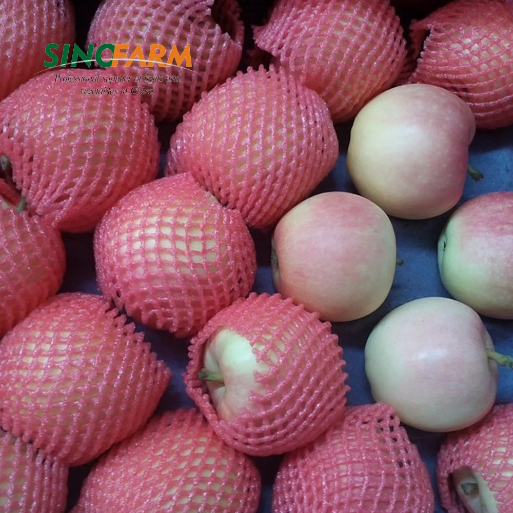 China Fresh Pink Gala Apples With Lower Price