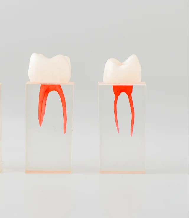 Модель корневой полости, эндо-тренировка, изучение зубов, типодонт