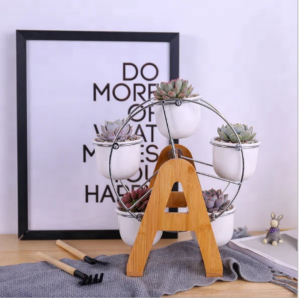 Creative Ferris Wheel Flower Pot