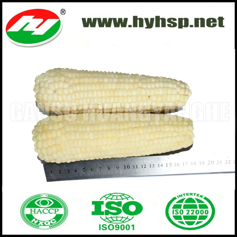 замороженные белый кукурузы