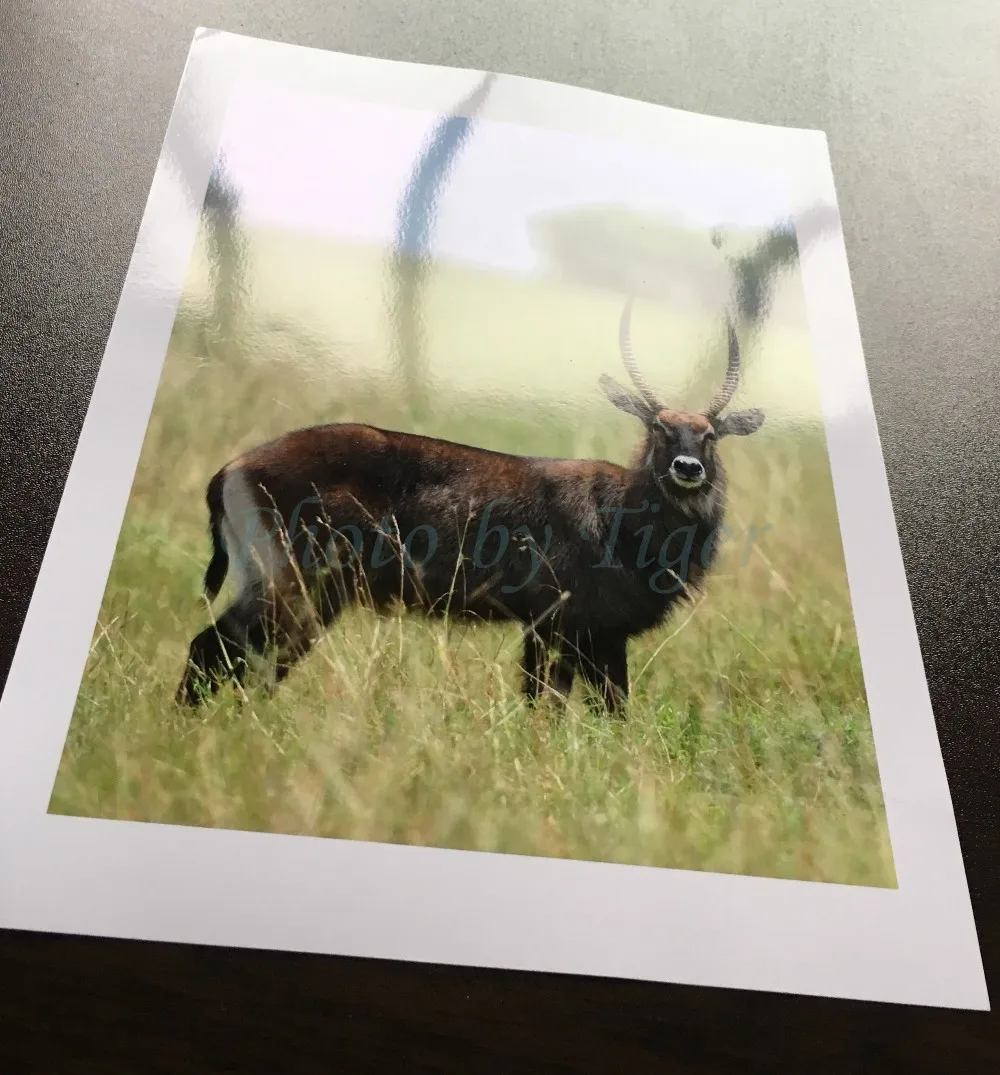 High Whiteness  260g Satinated Paper/Inkjet RC Photo Paper/RC Satin Photo Paper inkjet paper