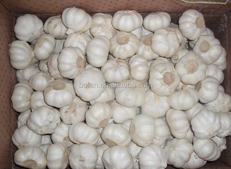 
China Best Garlic Oil Price from Boten 