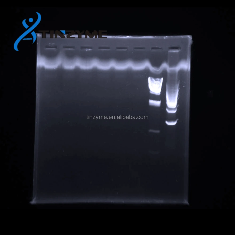 
LE Agarose Powder Gel strength>1200g 