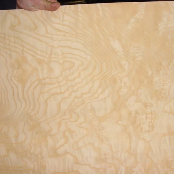 Natural Ash Burl Wood Veneer for Hotel Design