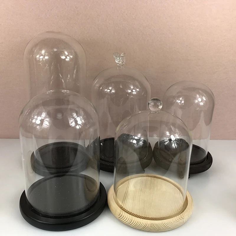 
OEM Factory Directly Glass Plant Terrarium High Quality Display Glass Dome Wholesale Glass Dome with Wooden Base 