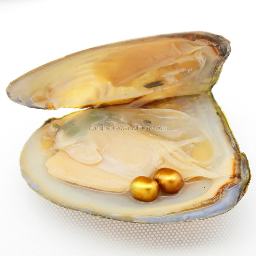 Vacuum packed oysters 6-8 mm aaa Beautiful oval natural freshwater pearls in oysters, dyed pearls and natural color pearls spot