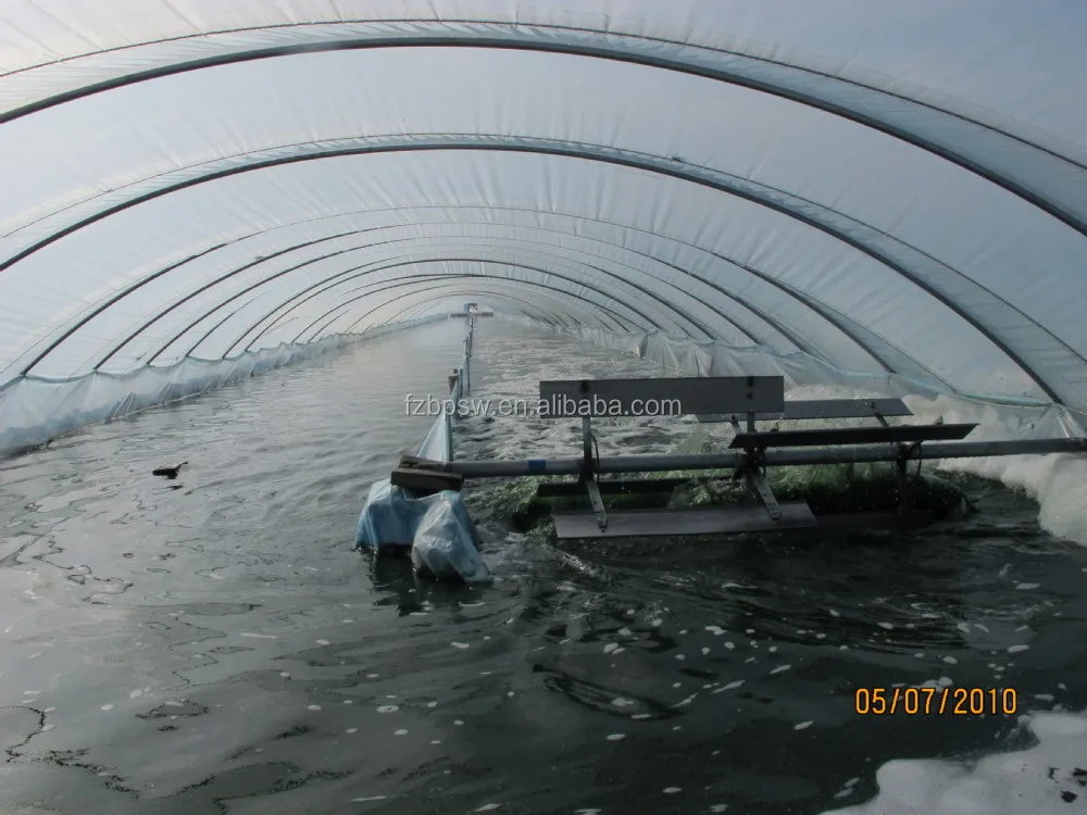 Organic Spirulina Powder Type for Cattle, Horse, Chicken, Dog, Pig, Fish Feed Use