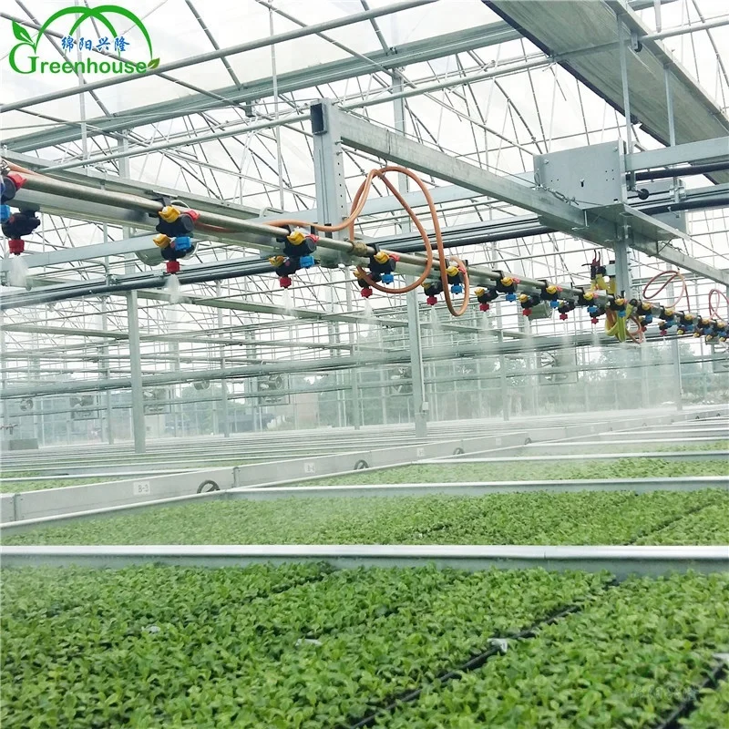 Commercial Hydroponics Greenhouse China for Sale