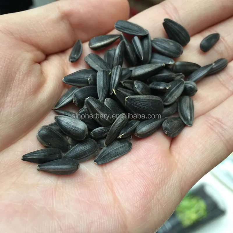 2021 свежие органические семена, масло, семена подсолнечника для выращивания