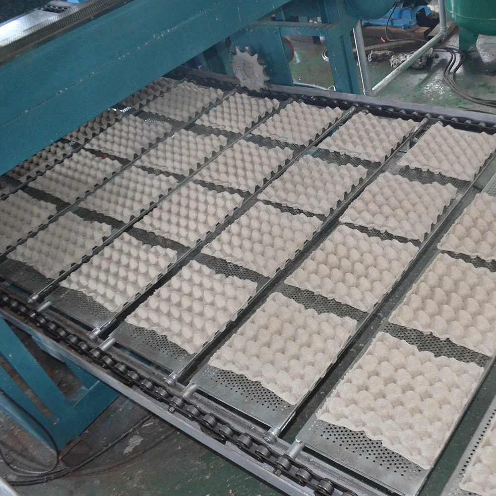 Paper Recycling Machine Egg Tray/Carton Making Machine With dryer line