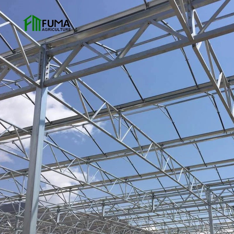 Многопролетные кратным green house в сельском хозяйстве гидропоники agricole стекло сер теплица на продажу