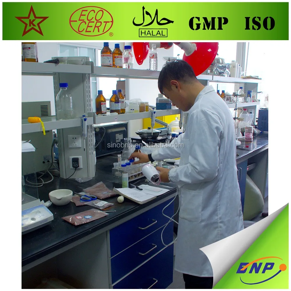 
Factory Supply allicin alliin odorless 100% Pure Garlic Extract /lipid powder oil 