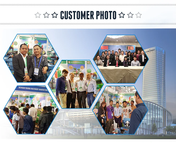 mini home use rice mill