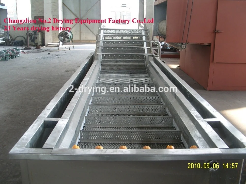 Contibuously non-stop leafy vegetable fruit lettuce cabbage bubble washing washer cleaning machine with ozone