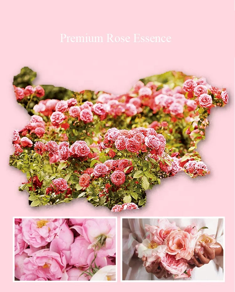 OEM good quality alcohol free vegan rose water flower petal moisturizing halal skin toner