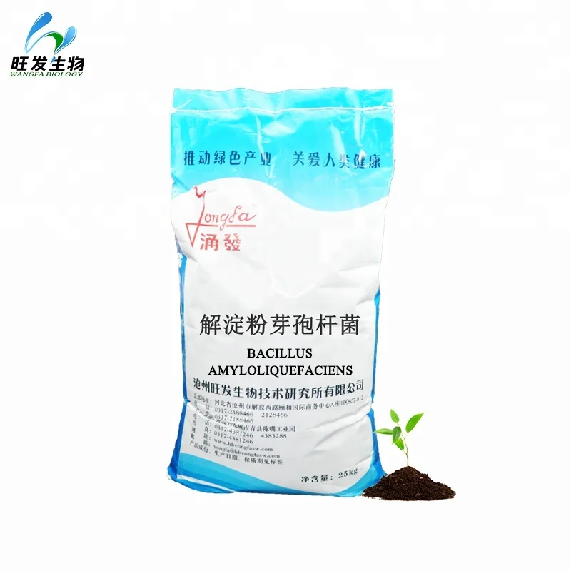 Bacillus Amyloliquefaciens for feed additives