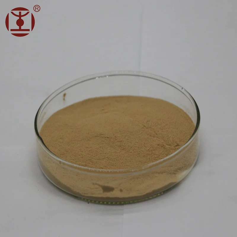 Agaricus Bisporus/White button mushroom Powder;passed GMP/HACCP Certificate