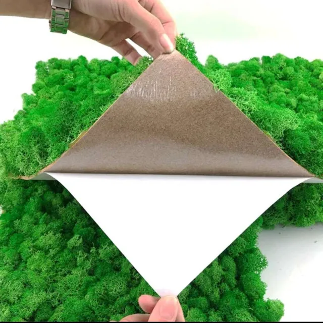 Wholesale decorative moss best quality preserved moss mat for festival wall