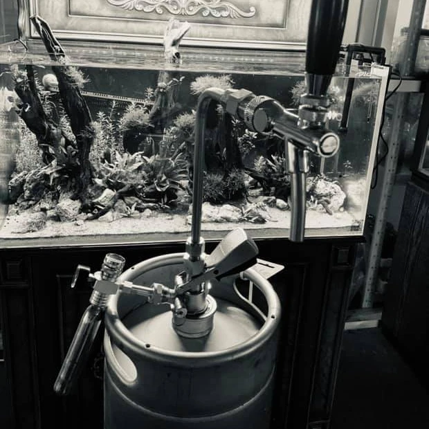 Beer barrel wine cooler set plate dispenser wine head connector / craft beer beer barrel direct wine