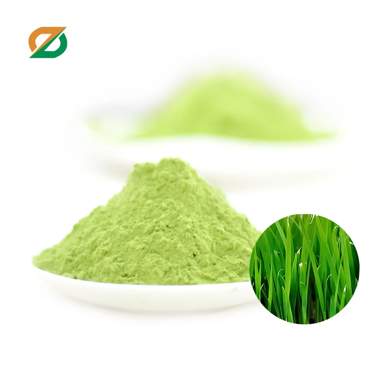 High Quality Juice Product Type barley grass leaf Extract Juice