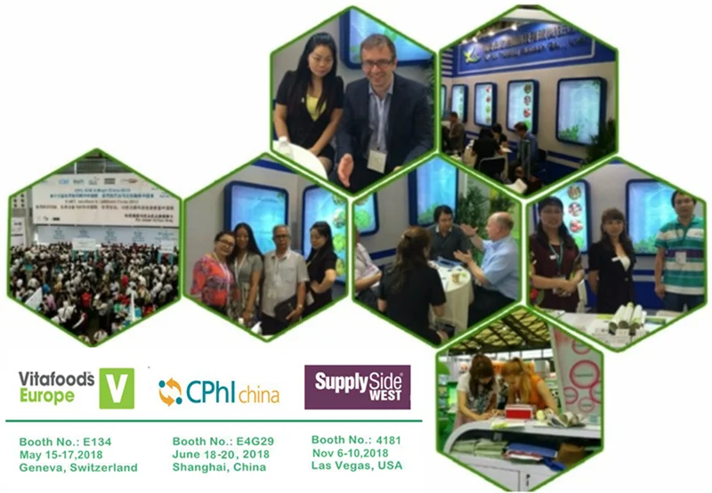 
Factory Provide High Quality Lysine 