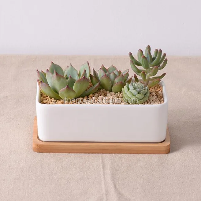 Home design 7 inch rectangle ceramic plant pots white with bamboo tray