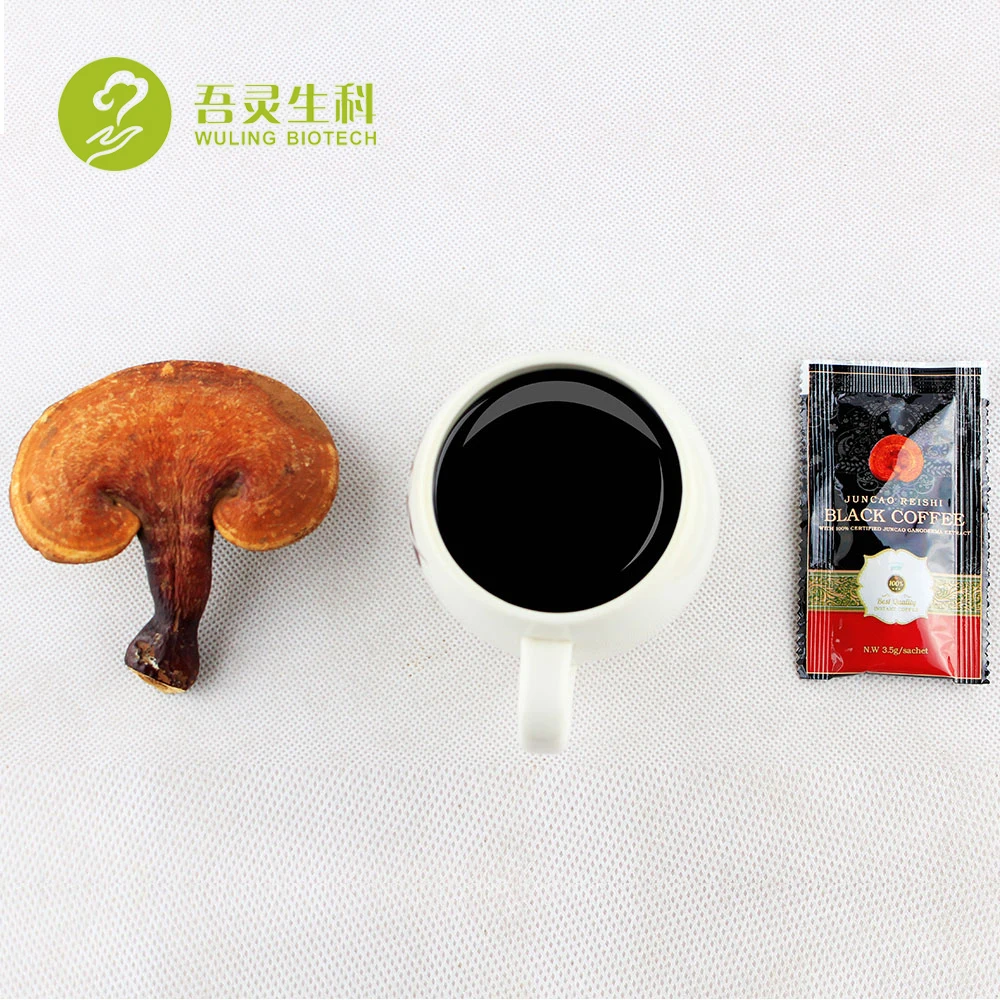
High Quality Lingzhi Coffee 3 in 1 Reishi Mushroom Black Coffee with Ganoderma Extract 