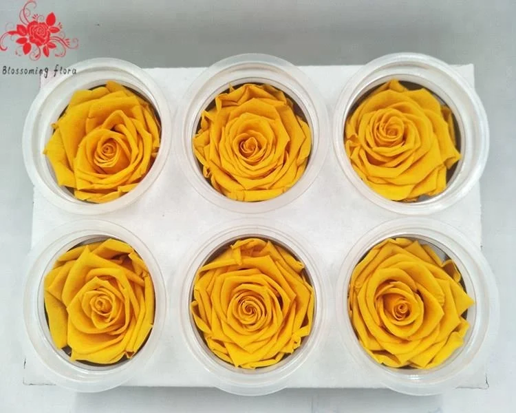 wholesale long lasting  flowers preserved roses for valentines day