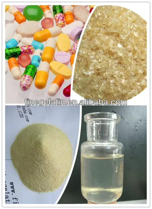 
Pharmaceutical Grade Halal Kosher Medical Animal Skin Edible Bovine Gelatin 