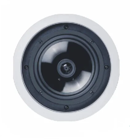 Бытовой аудио стены, потолок Настенный громкоговоритель динамик 80 Вт 100 В 8 Ом