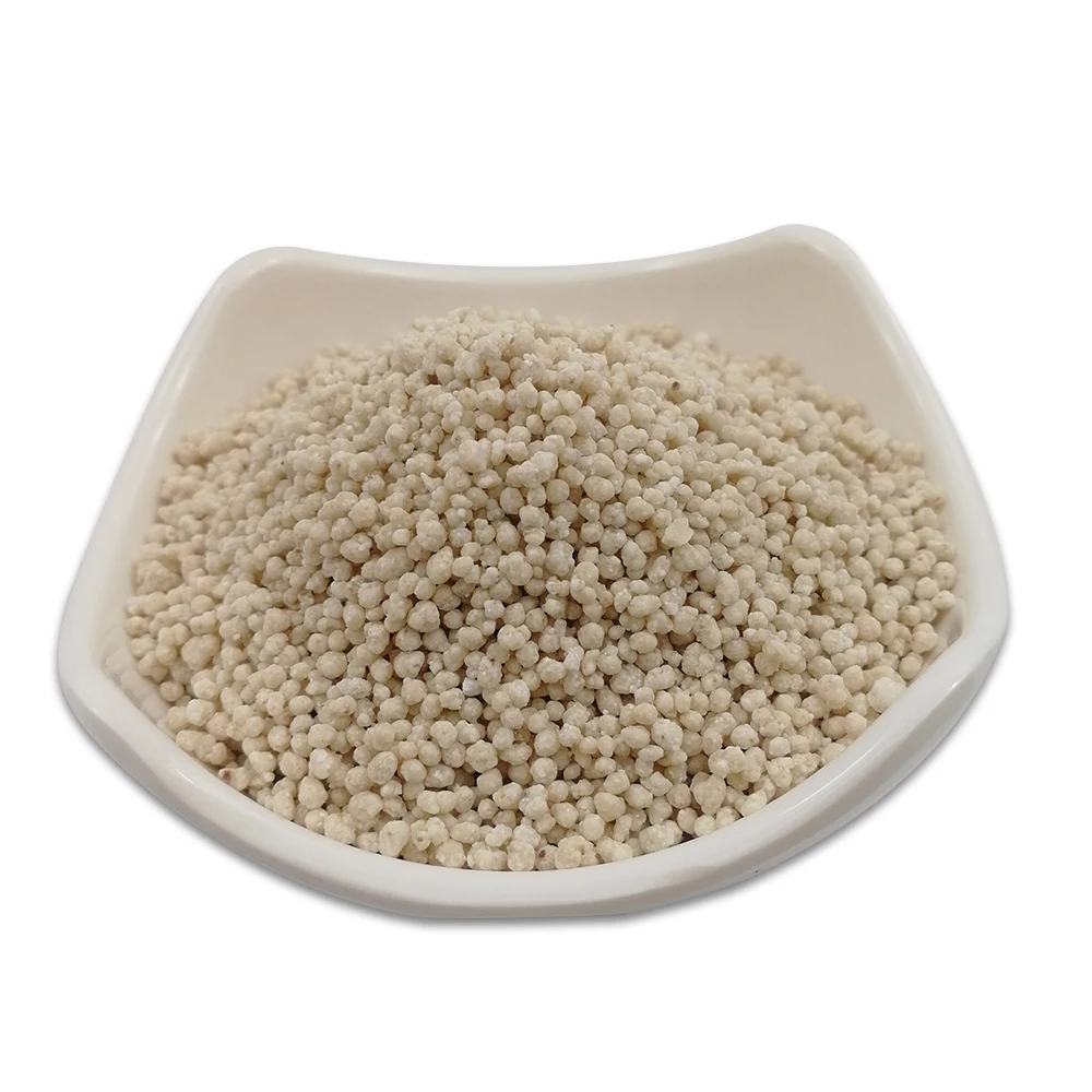 NPK Slow Release Agriculture and Horticulture Compound Fertilizer 10-10-10