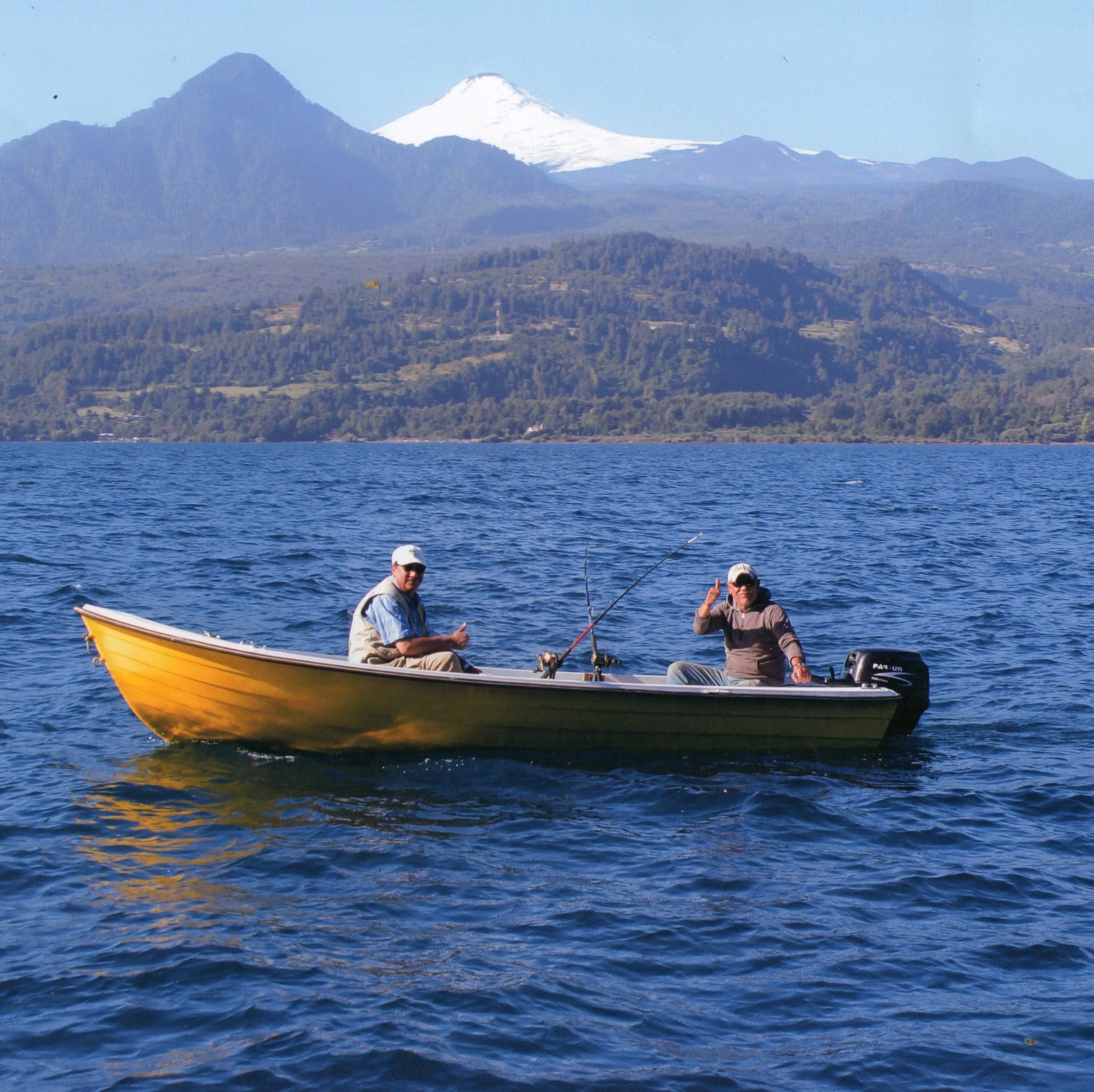 40hp chinese outboard motor with power trim
