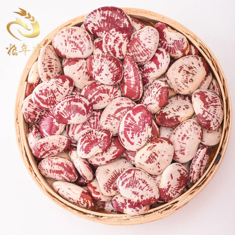 good quality New crop originated Light Speckled Long shape Runner Beans