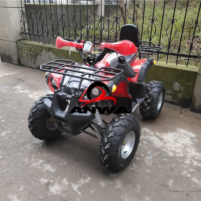 Горячая Распродажа бензин 110cc 4 с четырехтактным двигателем Raptor спортивный