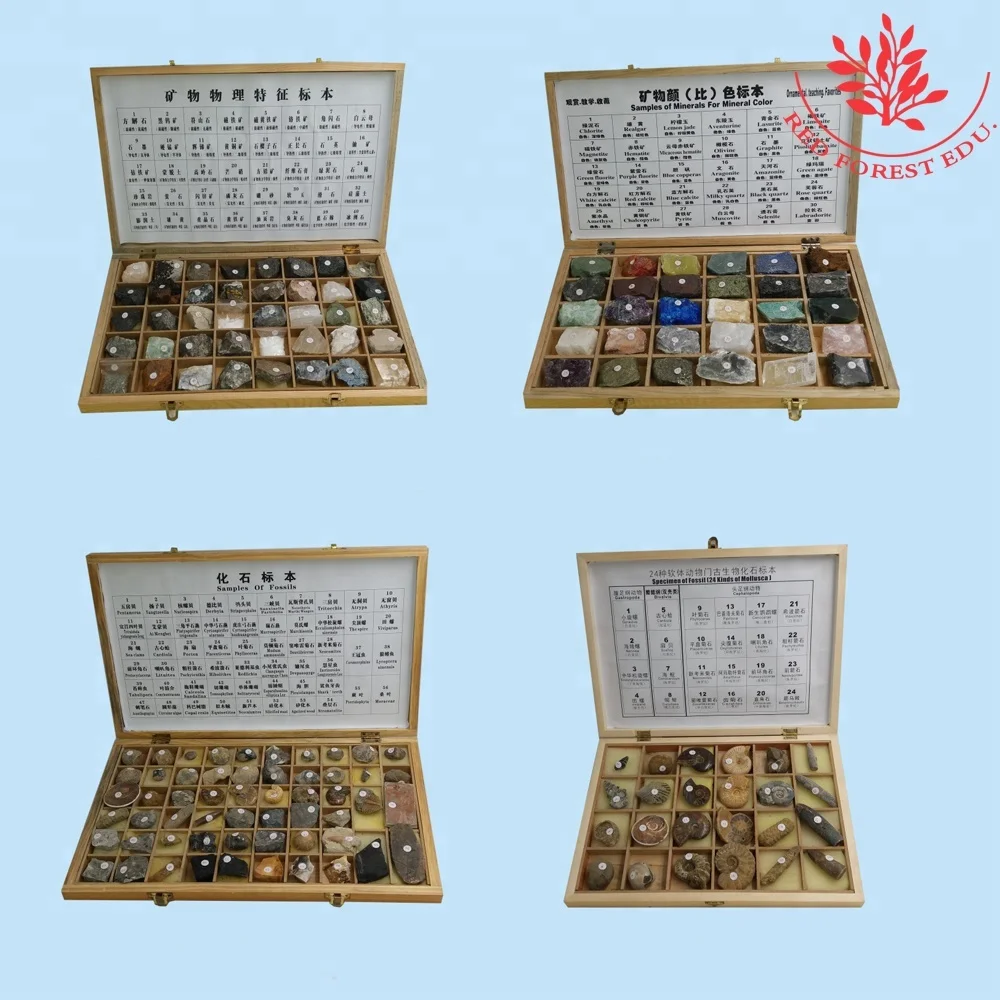 Изучение географии 18 видов образцов