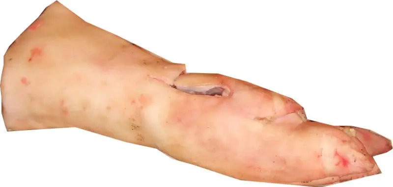 Frozen Pork Hind Feet