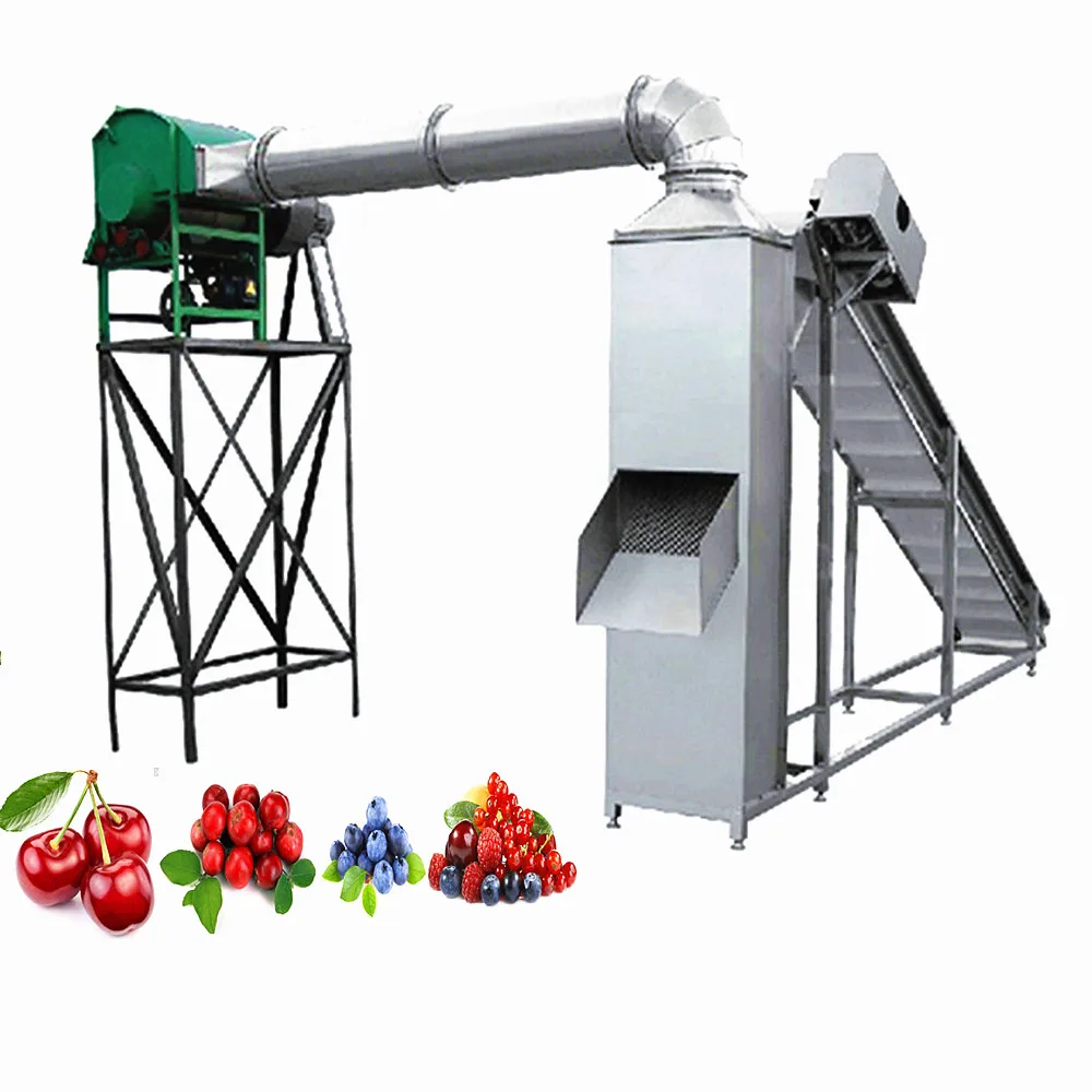 Fruits Washing Machine for Apricot Processing Line with Blackberry Strawberry Cleaning Sorting Equipment Machinery